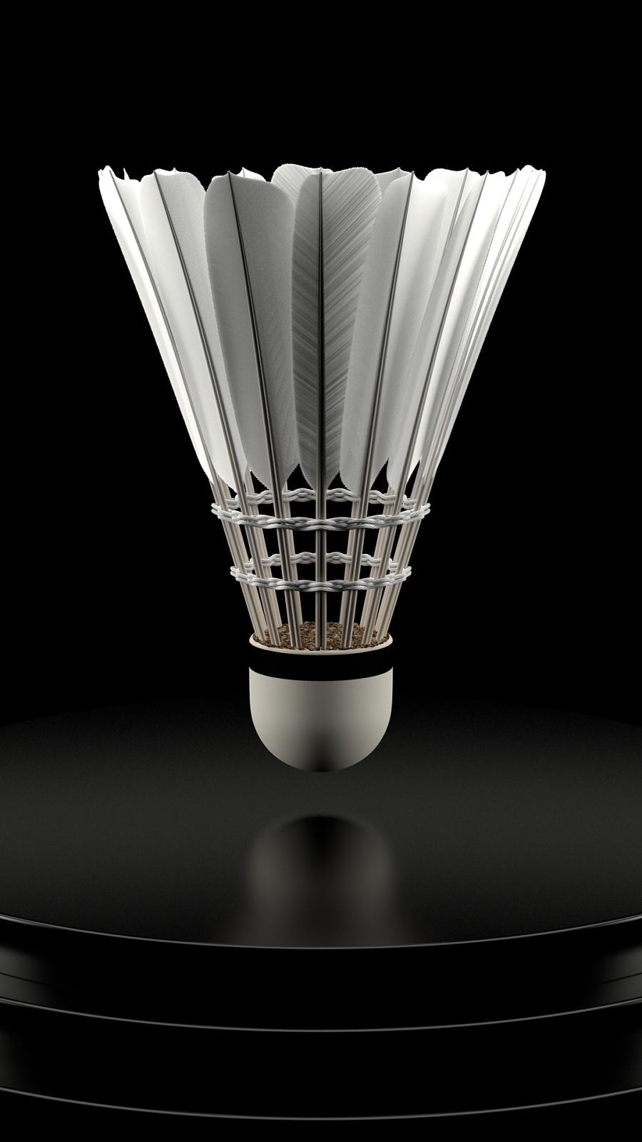 树立了榜样 树立了榜样