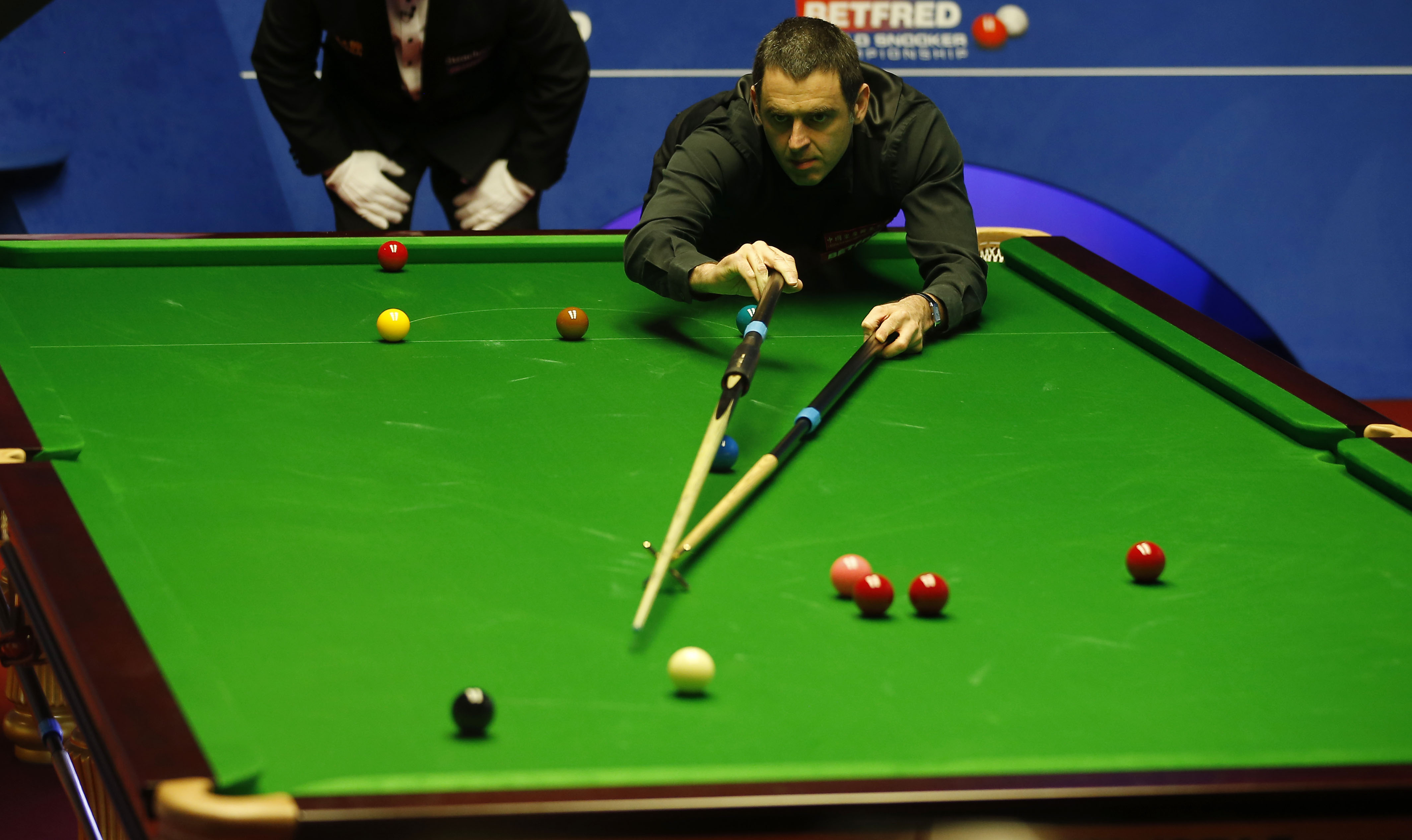 的成功案例 的成功案例