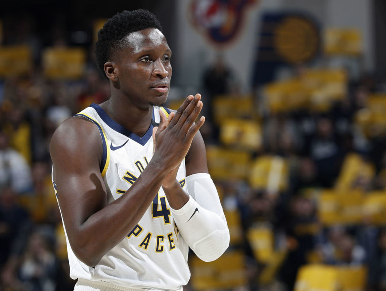 们看到了未 们看到了未